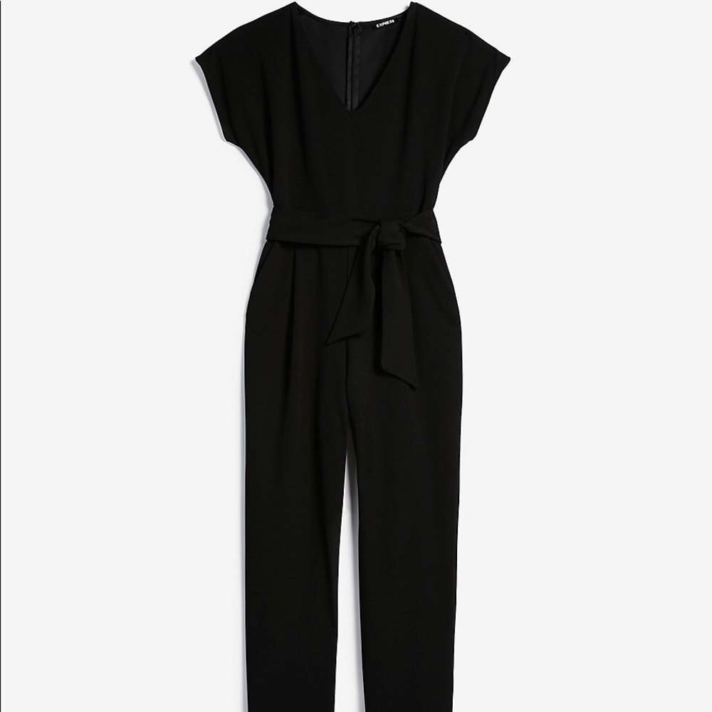 Express V Neck Tie Waist Jumpsuit